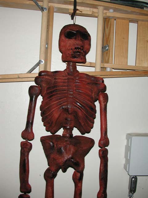 DSCN4561