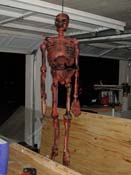 DSCN4564