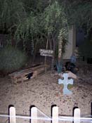 f100_0130 (5)