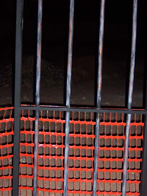 e100_0049