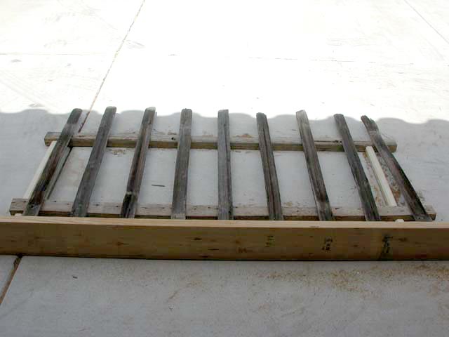 DSCN4657