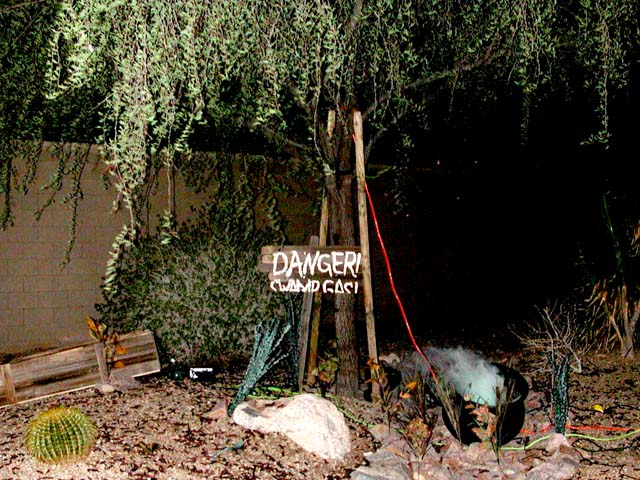 DSCN4887