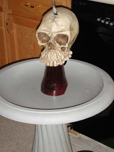 DSCN4726