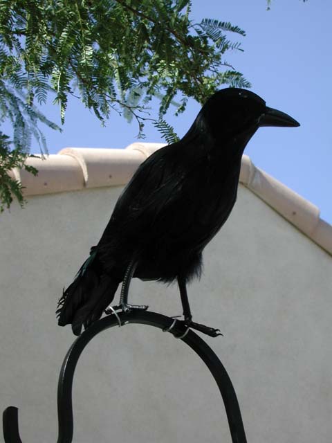 DSCN4910