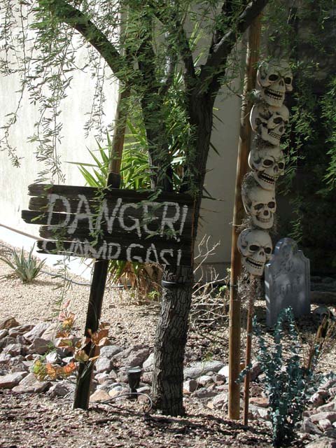 DSCN4919