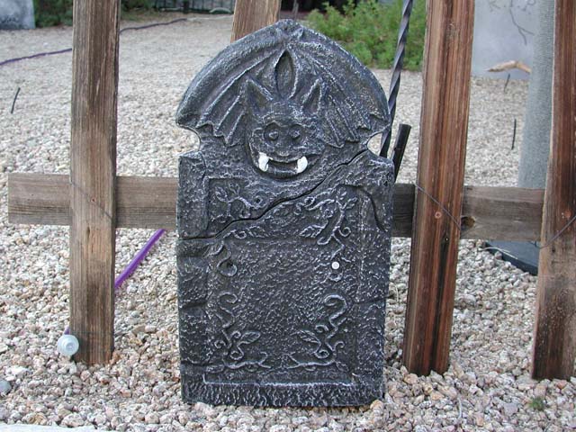 DSCN4976