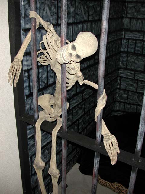 DSCN4982