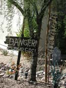 DSCN4919