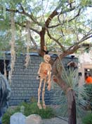 e04Halloween 19 (8)