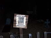 f100_0130 (6)