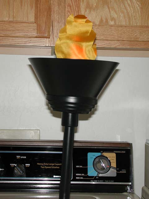 DSCN4786