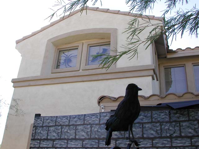 DSCN5021