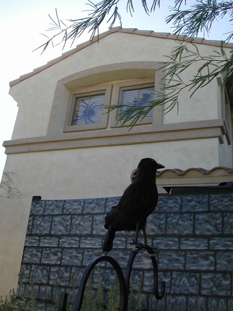 DSCN5022