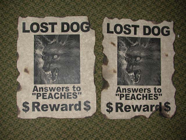 DSCN4739